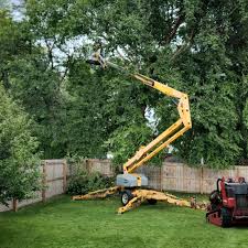 Best Lawn Irrigation Installation and Maintenance  in Plainedge, NY