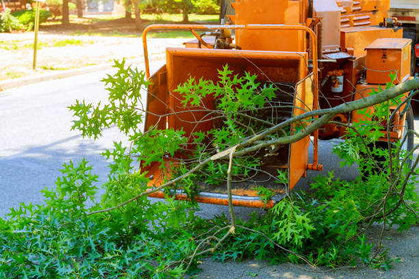 Grass Overseeding in Plainedge, NY